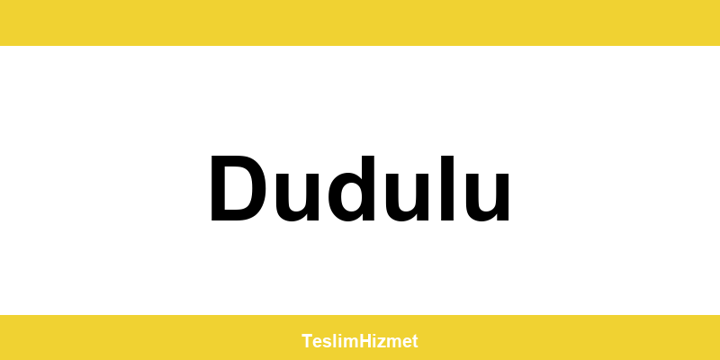 PTT Kargo Dudulu şubeleri ve iletişim bilgileri