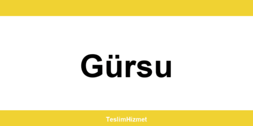 PTT Kargo Gürsu şubeleri ve iletişim bilgileri