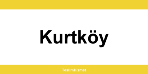 PTT Kargo Kurtköy şubeleri ve iletişim bilgileri