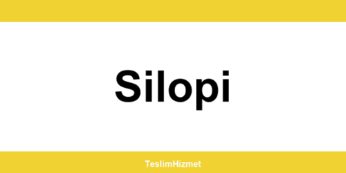 PTT Kargo Silopi şubeleri ve iletişim bilgileri