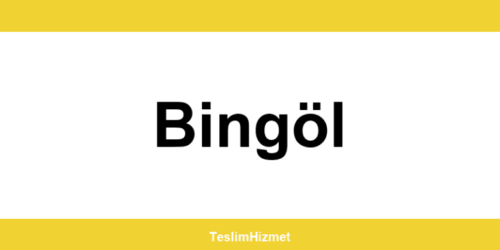 PTT Kargo Bingöl şubeleri ve iletişim bilgileri