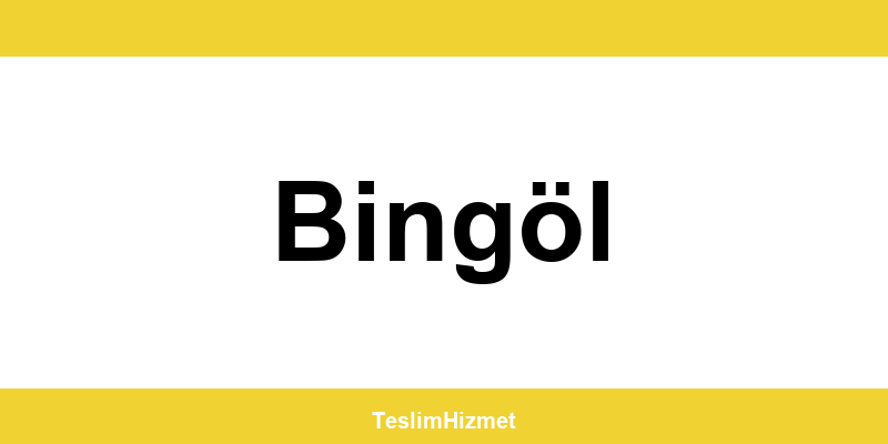 PTT Kargo Bingöl şubeleri ve iletişim bilgileri