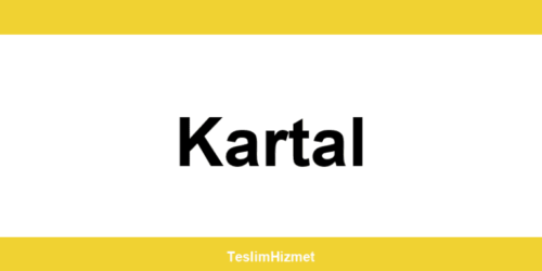 PTT Kargo Kartal şubeleri ve iletişim bilgileri