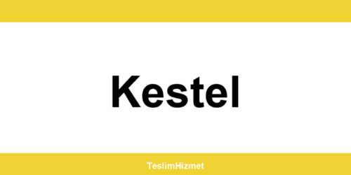 PTT Kargo Kestel şubeleri ve iletişim bilgileri