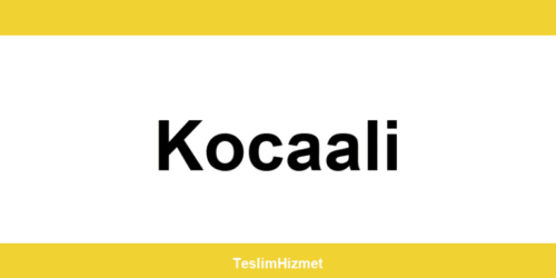 PTT Kargo Kocaali şubeleri ve iletişim bilgileri