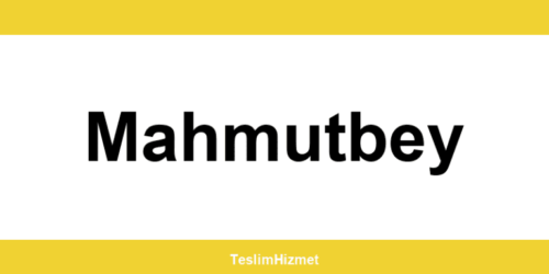 PTT Kargo Mahmutbey şubeleri ve iletişim bilgileri
