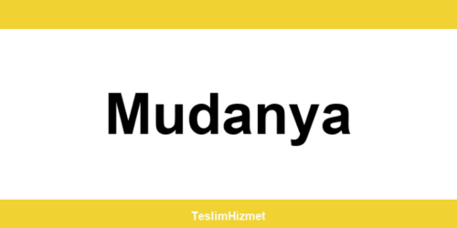 PTT Kargo Mudanya şubeleri ve iletişim bilgileri