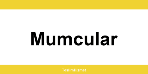 PTT Kargo Mumcular şubeleri ve iletişim bilgileri