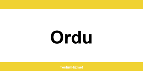 PTT Kargo Ordu şubeleri ve iletişim bilgileri