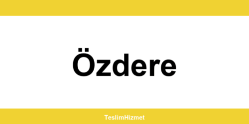 PTT Kargo Özdere şubeleri ve iletişim bilgileri
