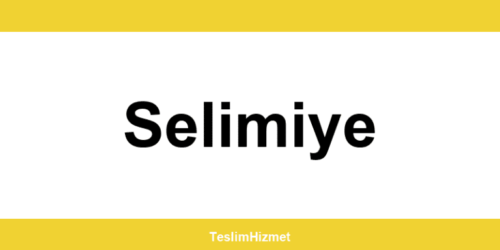 PTT Kargo Selimiye şubeleri ve iletişim bilgileri