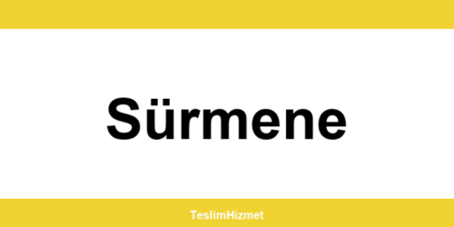 PTT Kargo Sürmene şubeleri ve iletişim bilgileri