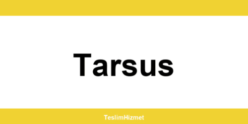PTT Kargo Tarsus şubeleri ve iletişim bilgileri