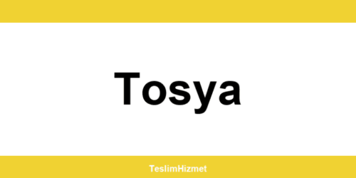 PTT Kargo Tosya şubeleri ve iletişim bilgileri