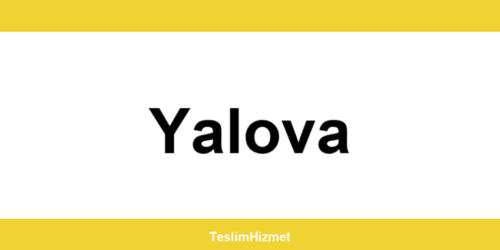 PTT Kargo Yalova şubeleri ve iletişim bilgileri