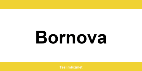 PTT Kargo Bornova şubeleri ve iletişim bilgileri