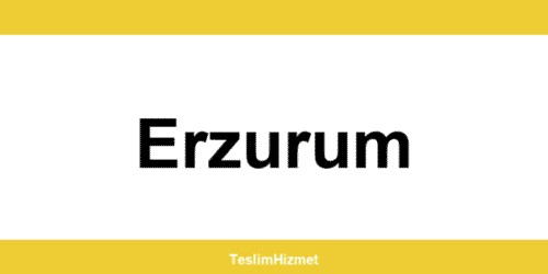 PTT Kargo Erzurum şubeleri ve iletişim bilgileri