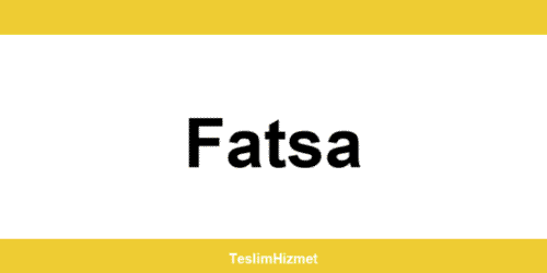 PTT Kargo Fatsa şubeleri ve iletişim bilgileri
