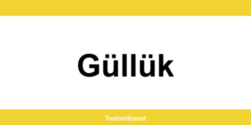 PTT Kargo Güllük şubeleri ve iletişim bilgileri