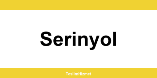 PTT Kargo Serinyol şubeleri ve iletişim bilgileri