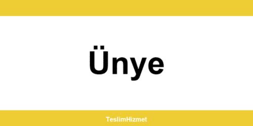PTT Kargo Ünye şubeleri ve iletişim bilgileri